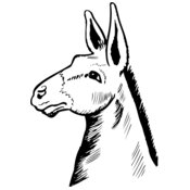 Dieren